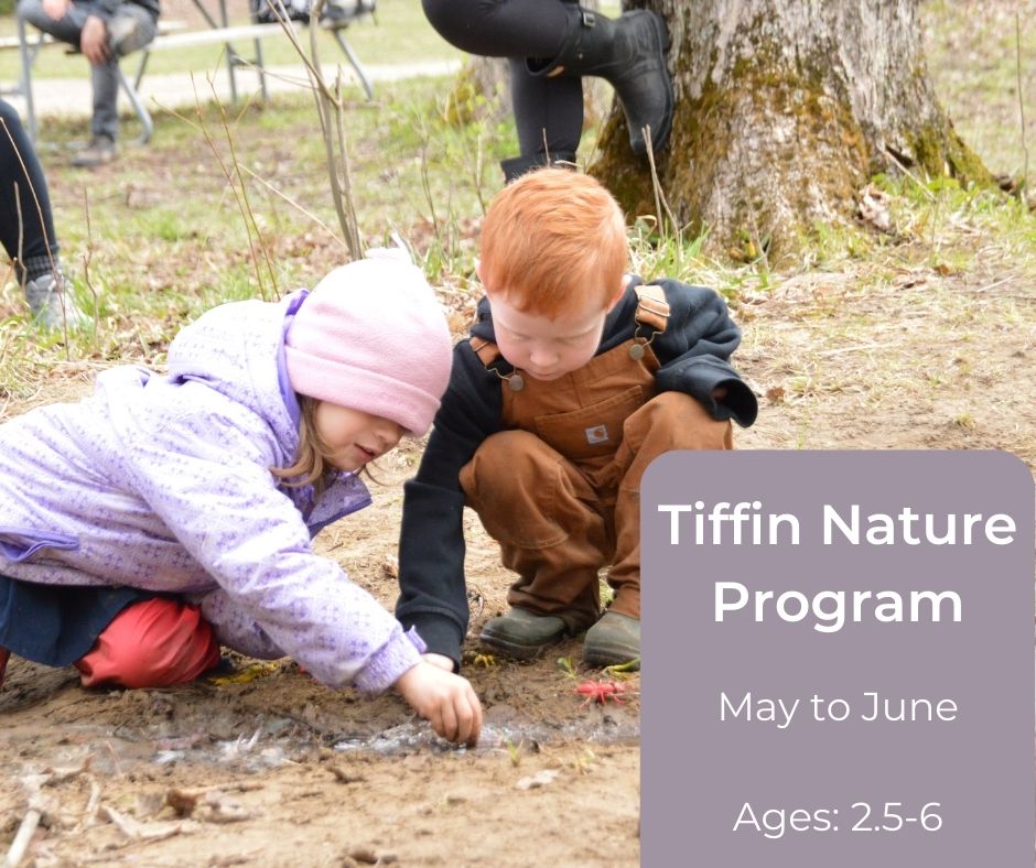 Tiffin Nature Program