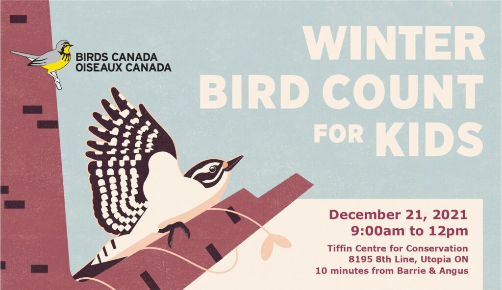2021 Winter Bird count