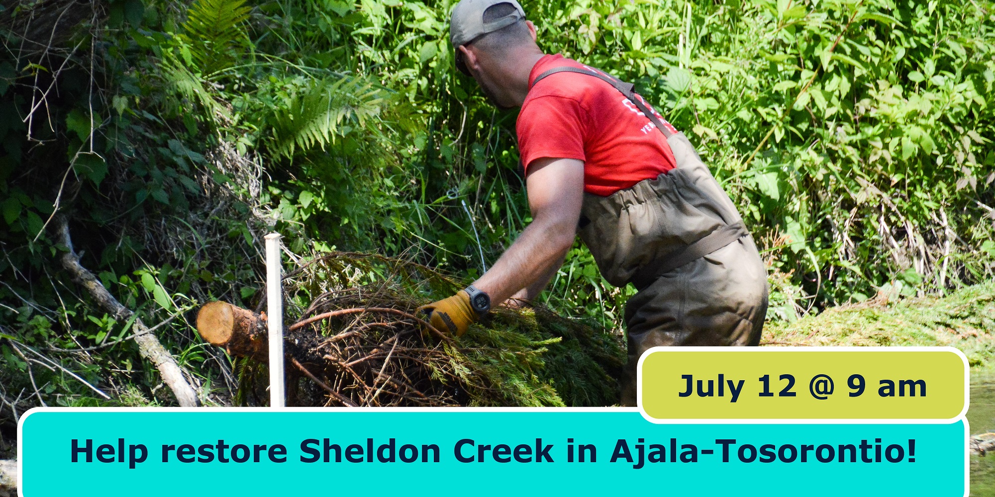Help Restore Sheldon Creek - July 12, 2023.jpg