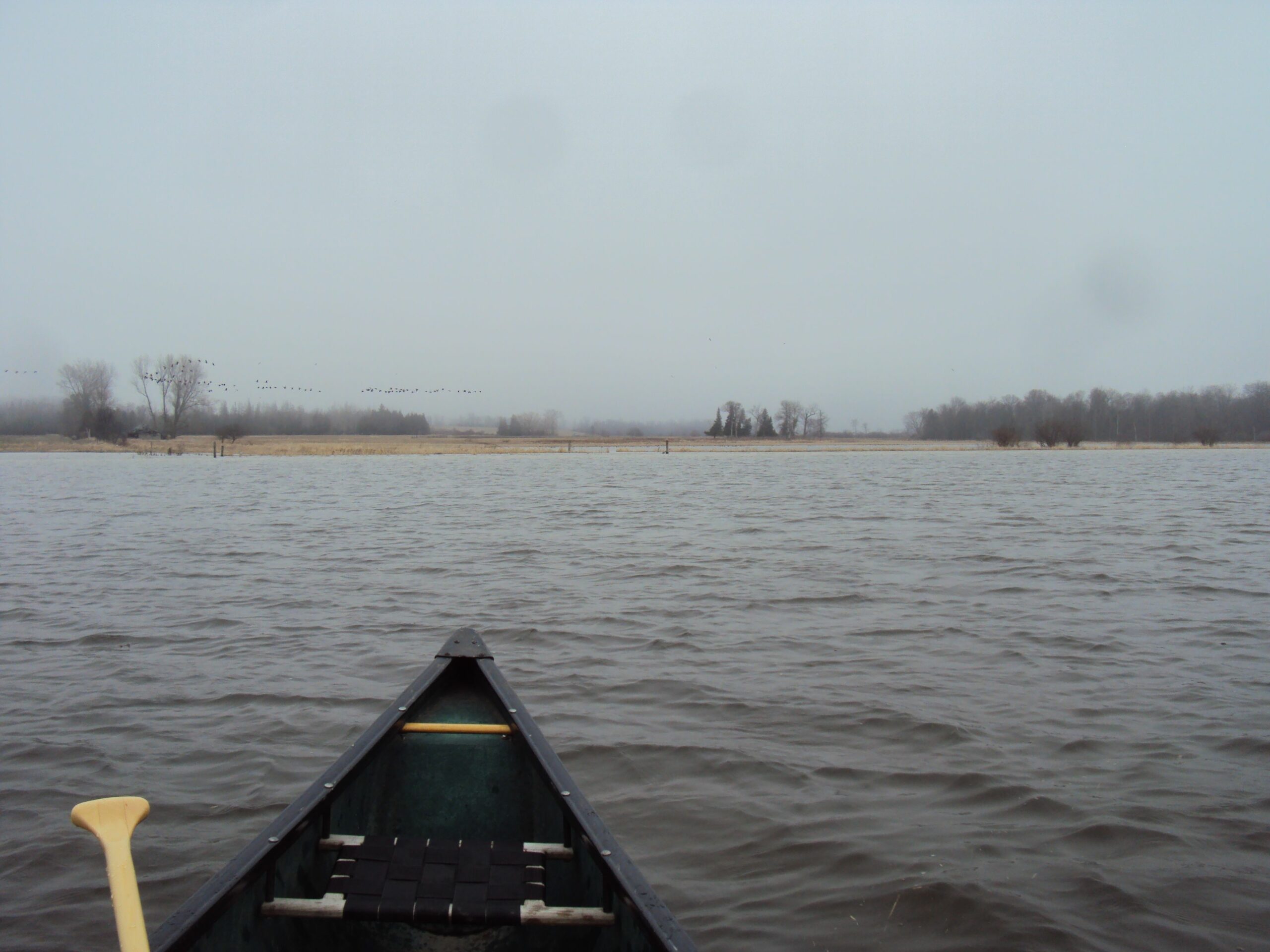 Minesing - cold windy paddle