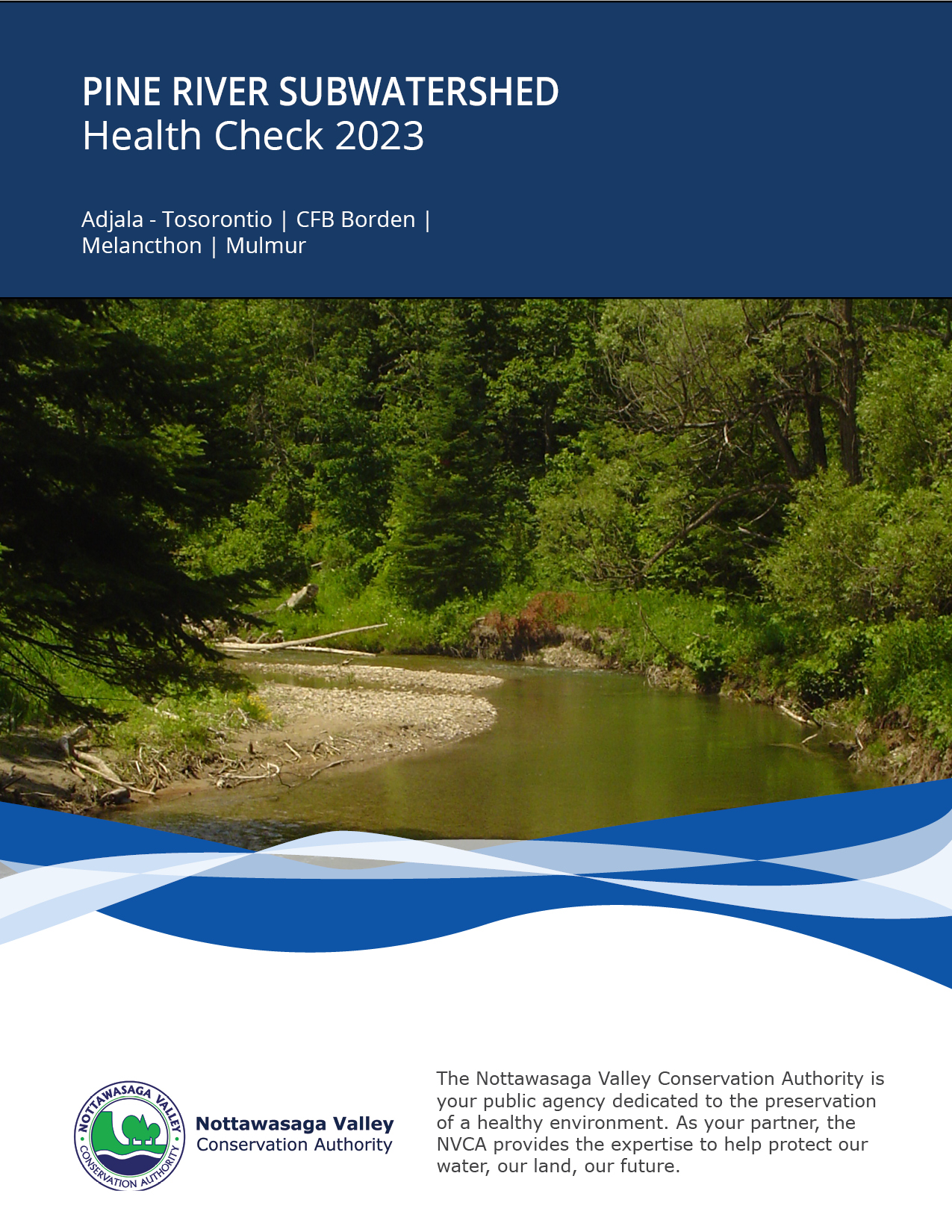 Pine River Subwatershed Health Check