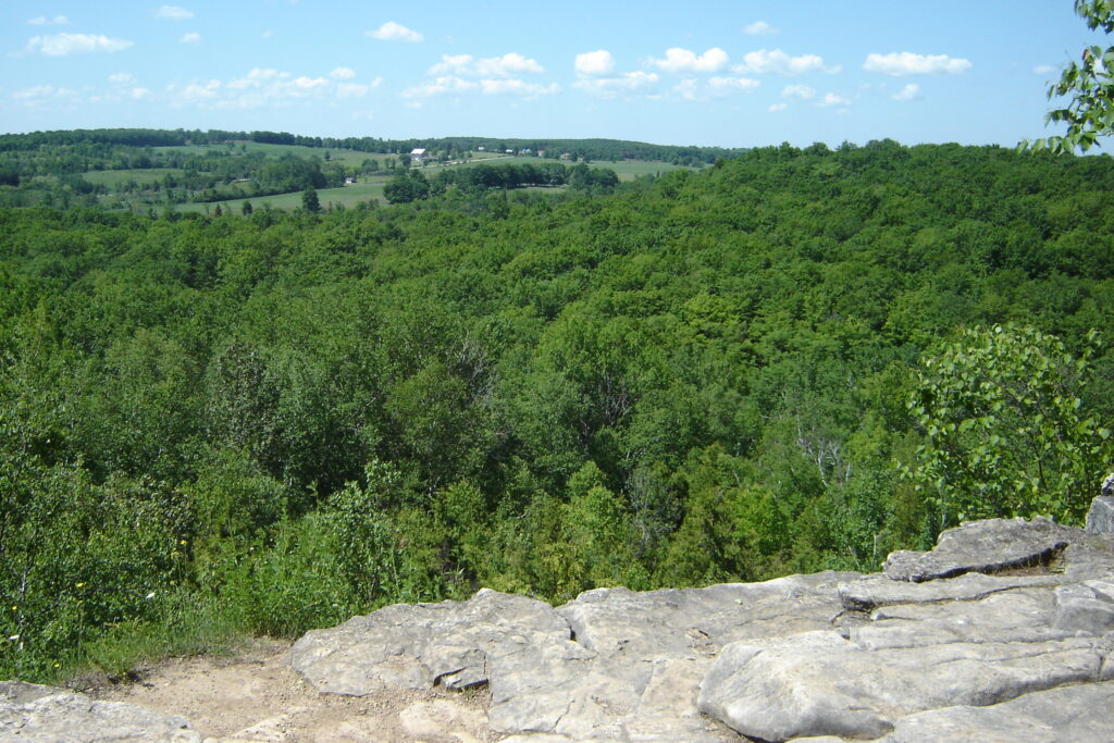 Grey cliff, bluffs, forest and view of sky