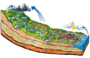 Cross section of watershed with transparent background