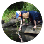 Two boys pond dipping