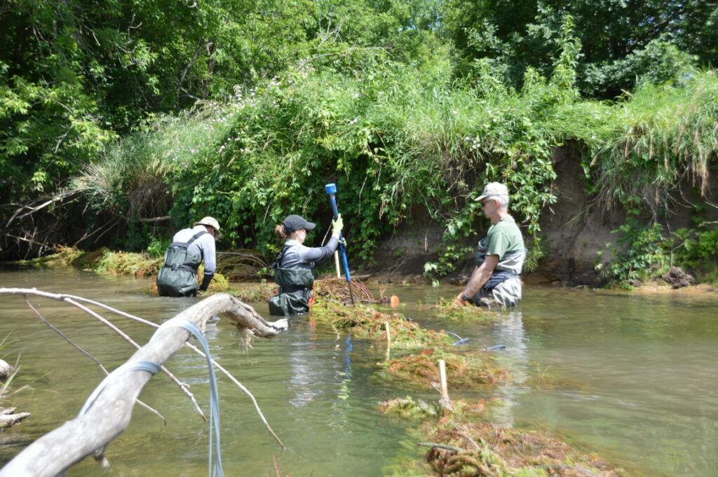 Stewardship Manager, Fred Dobbs restoring the Nottawasaga River alongside volunteers​