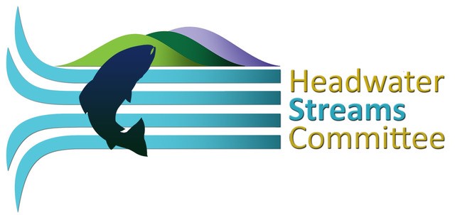 Headwaters Streams Committee logo