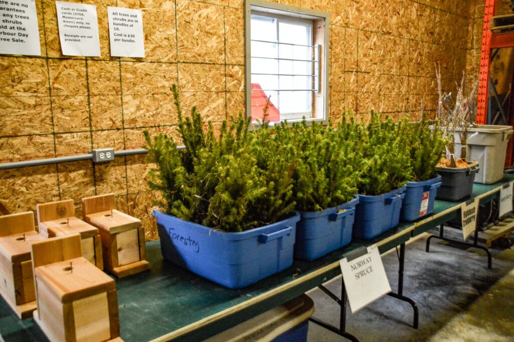 Trees for sale on Arbor Day