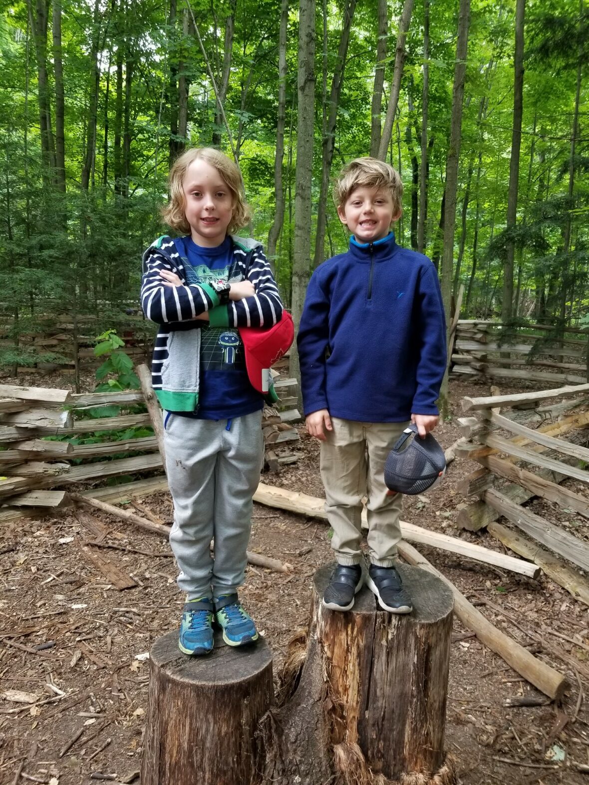 Two boys standing on tree stumps