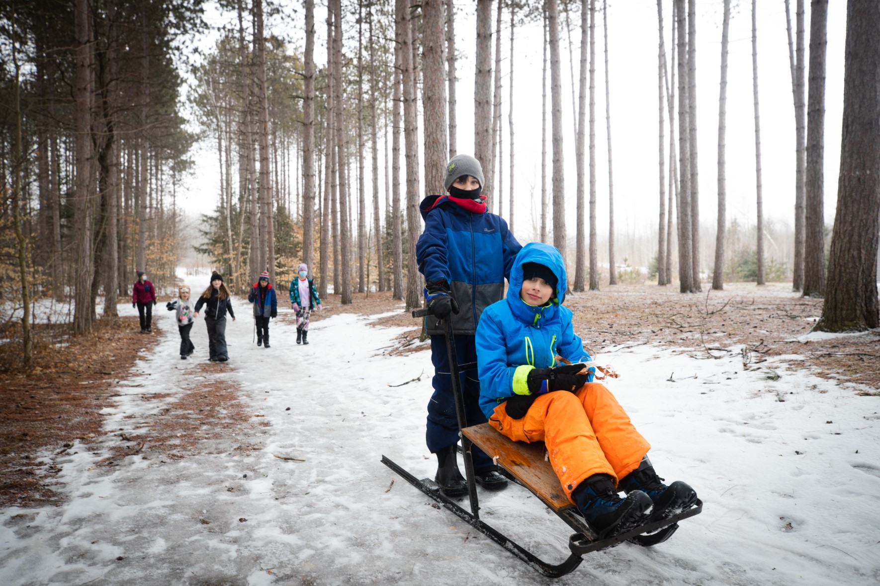 Two children kicksledding in a forest