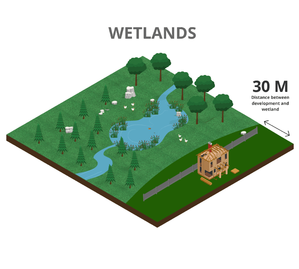 Wetlands Animation