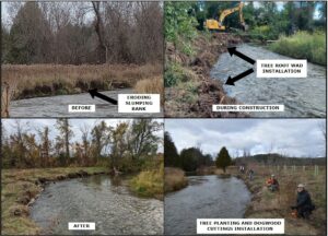 Before after and during restoration on the pine river