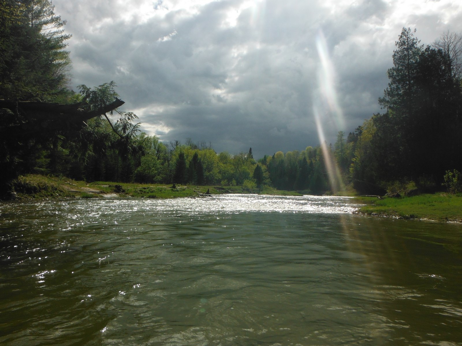 Middle Reaches of the Nottawasaga River