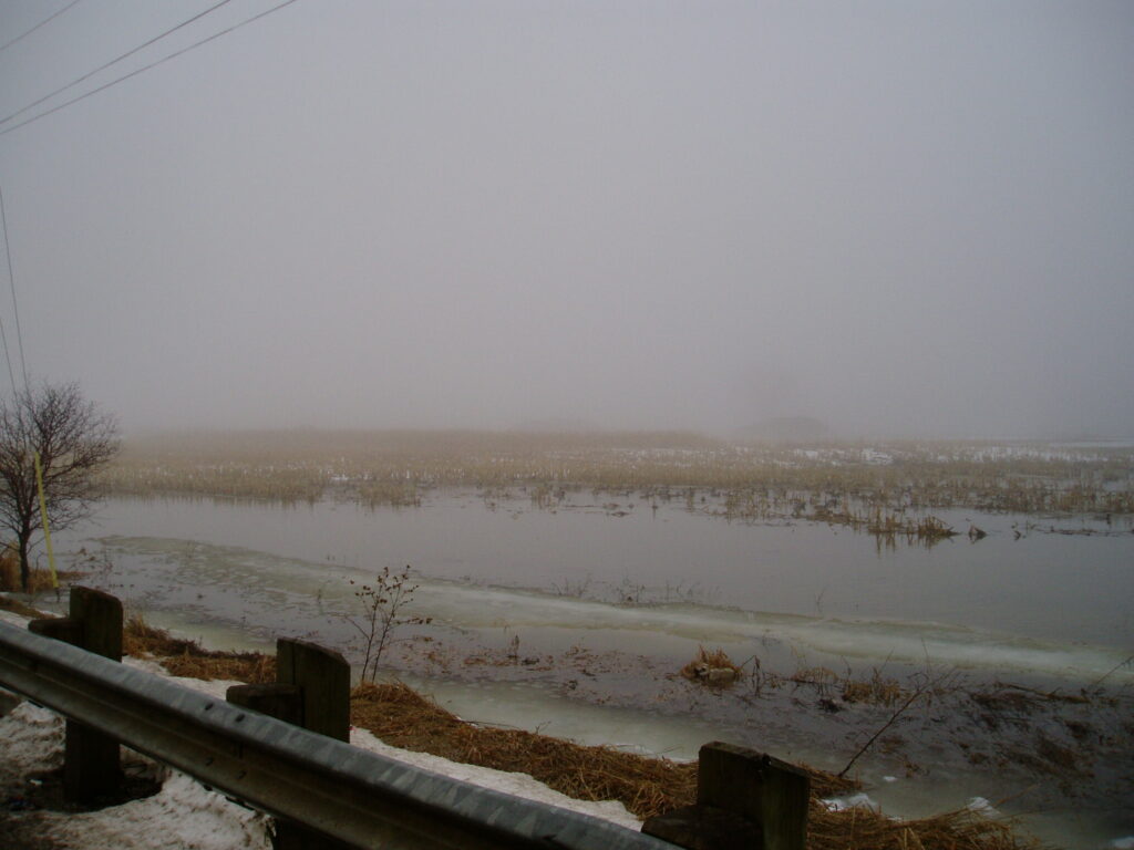 Flooding in East Creemore south of County Road 9