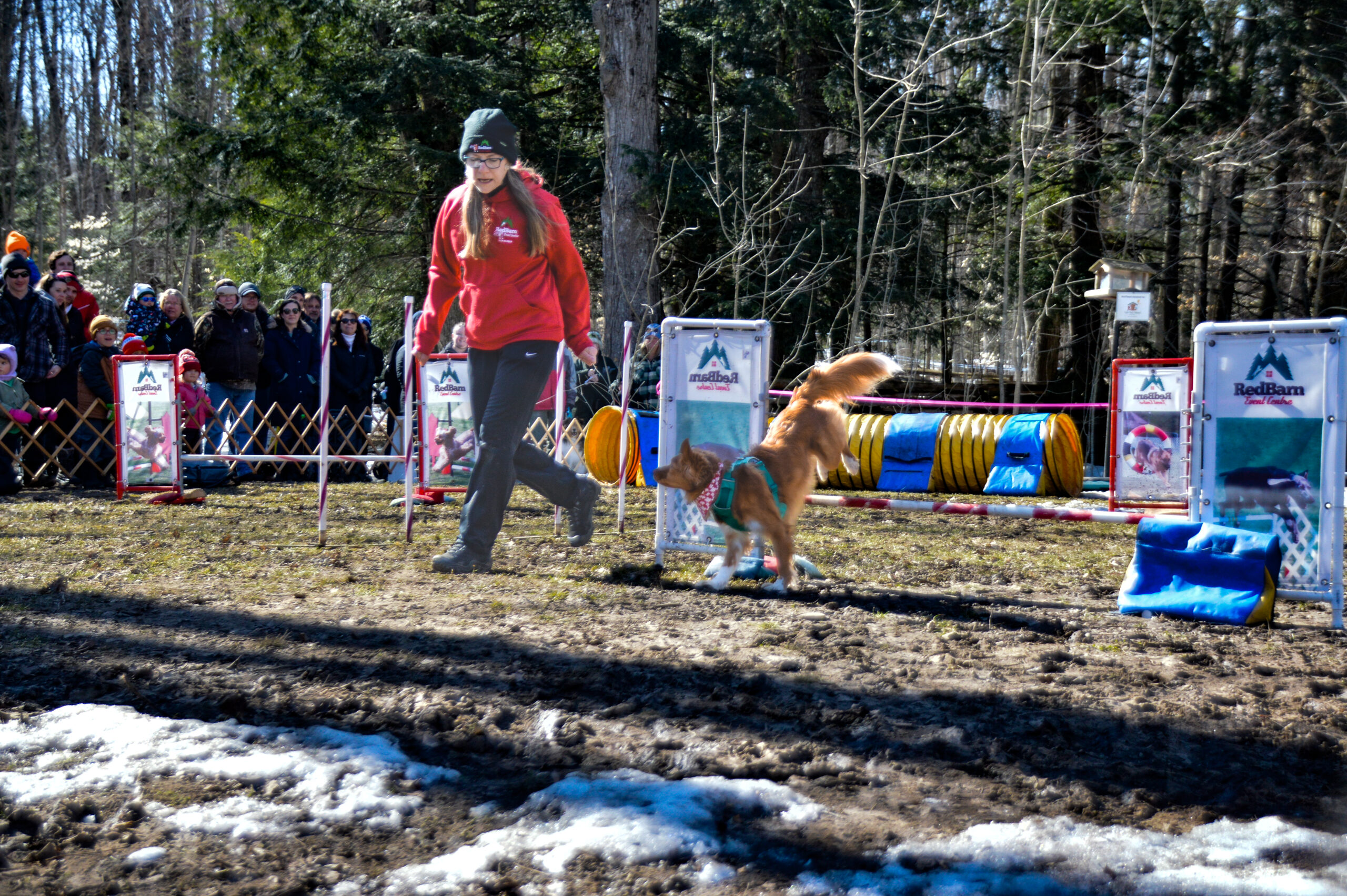 A dog trainer running their dog through a course
