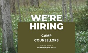 We're hiring a camp counsellor