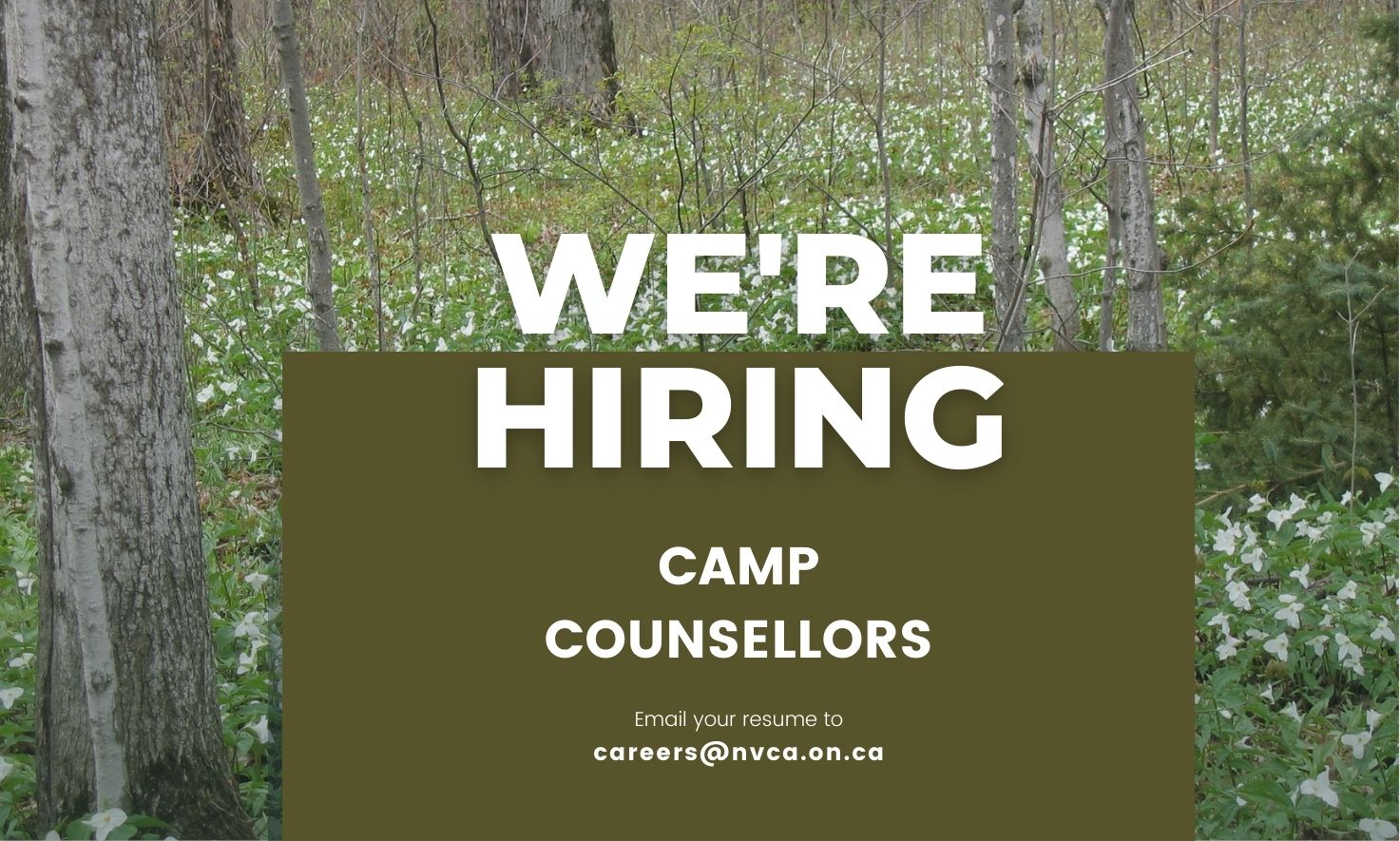 We're hiring a camp counsellor