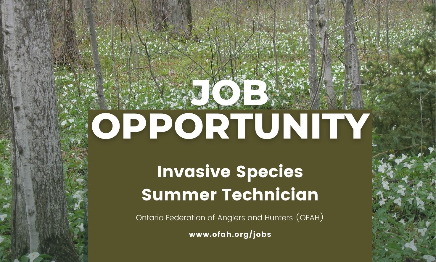 We're hiring website post_Invasive species summer technician