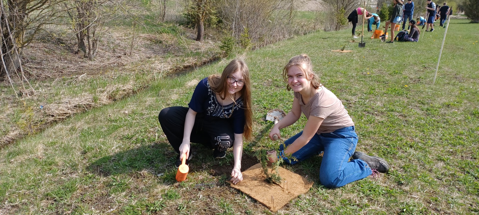 Volunteers planting trees stewardship