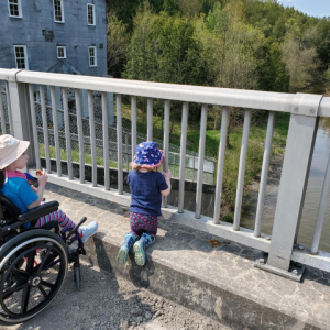 Child in wheelchair and toddler looking through a fence
