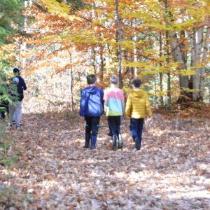 Children hiking through a forest in the fall
