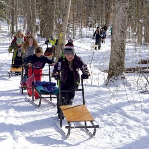 Children kicksledding winter camp tiffin