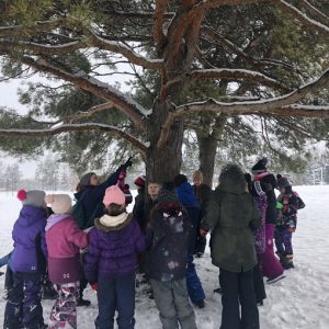 Children standing under a large tree