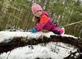 Girl climbing on log in the snow