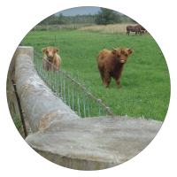 Circle photo of Livestock restriction fencing