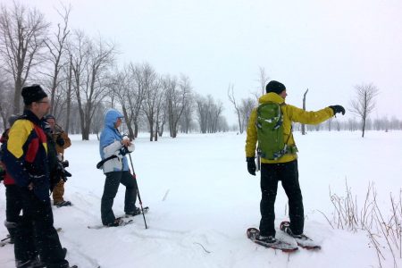 People snowshoeing on Harold Parker Memorial Trail
