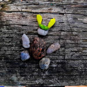Rock bunny arts and crafts