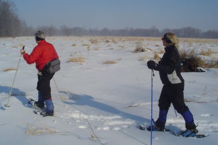 Snowshoeing in Mad River Minesing