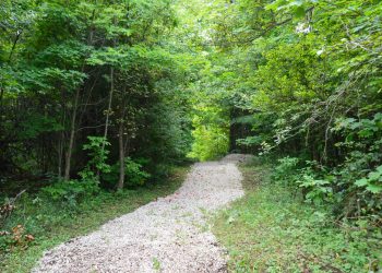 Trail at Petun Conservation Area