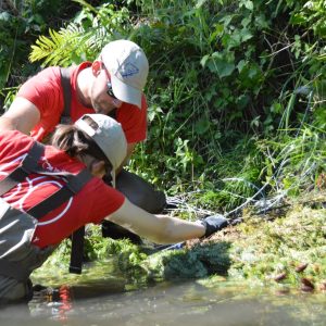 Trout Unlimited Canada volunteers helping with restoration