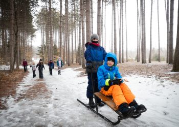 Two children kicksledding in a forest