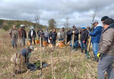 Volunteers learning how to plant trees at a river restoration project